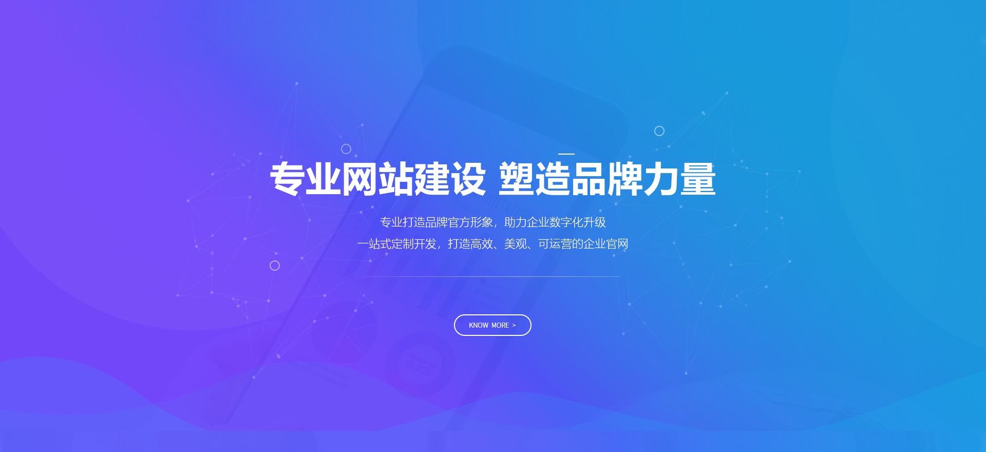 白沙建站-专业网站建设 塑造品牌力量