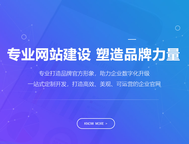 白沙建站-专业网站建设 塑造品牌力量